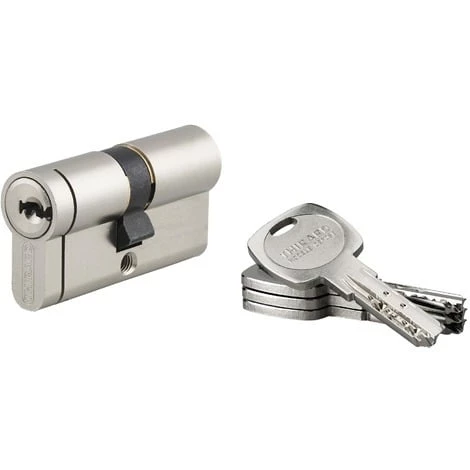 Cylindre De Haute Sécurité Transit 2 Thirard - Dimension 30 X 30 Mm